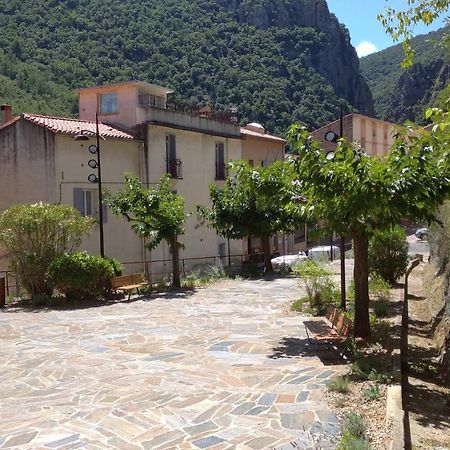 Apartament Pied A Terre Amélie-les-Bains-Palalda Zewnętrze zdjęcie